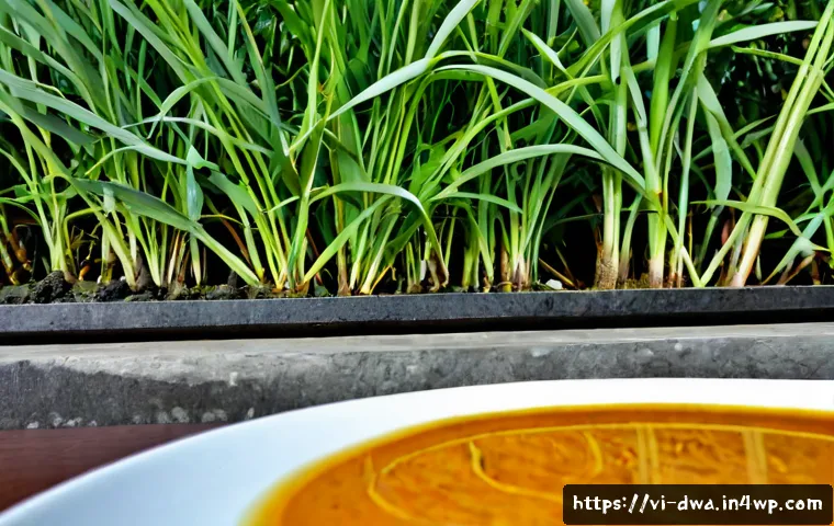 Lãnh đạo bằng dữ liệu nhỏ: Cách ưu tiên quyết định, công cụ và ngân sách cho doanh nghiệp 4 스몰 데이터 활용을 위한 리더십 전략 관련 이미지 2